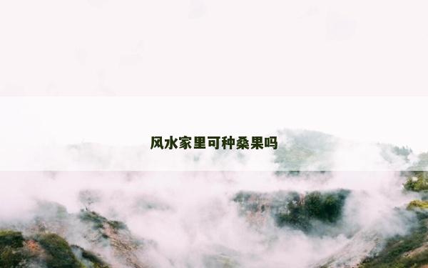 风水家里可种桑果吗