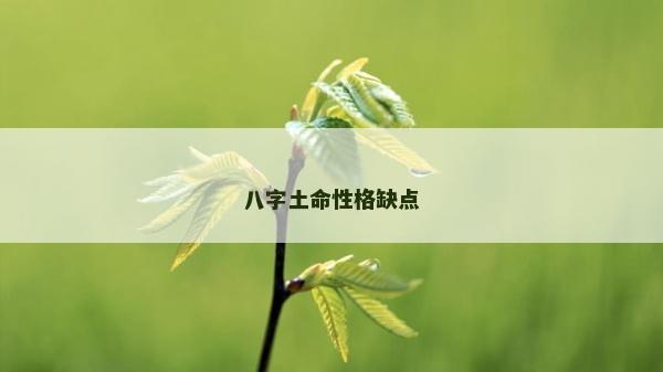 八字土命性格缺点