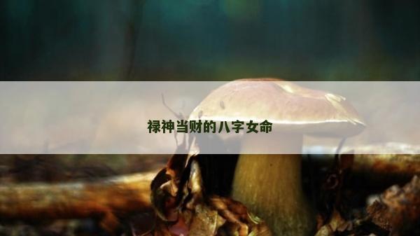 禄神当财的八字女命