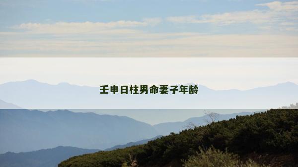 壬申日柱男命妻子年龄