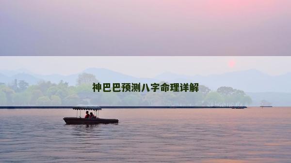 神巴巴预测八字命理详解