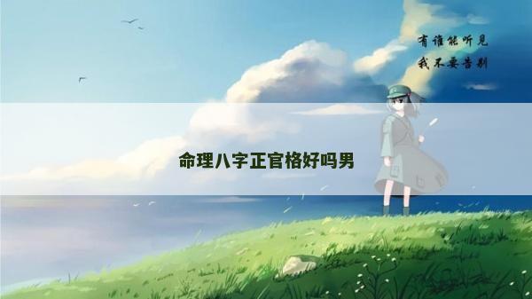 命理八字正官格好吗男