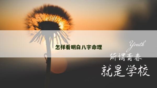 怎样看明白八字命理