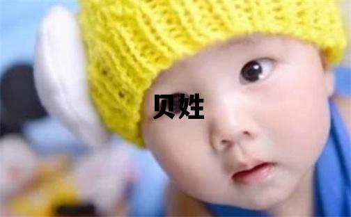 贝姓大气文雅的男孩名字,取什么名字好