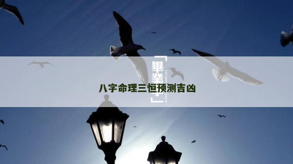 八字命理三恒预测吉凶