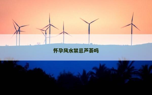 怀孕风水禁忌芦荟吗