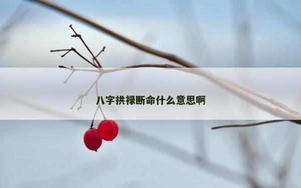 八字拱禄断命什么意思啊