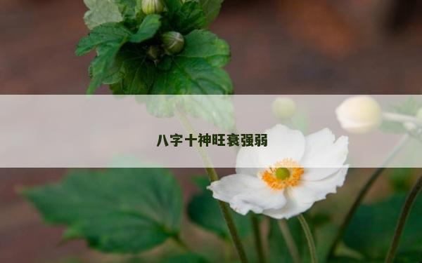 八字十神旺衰强弱