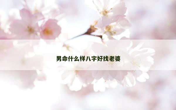 男命什么样八字好找老婆