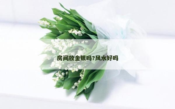 房间放金银吗?风水好吗