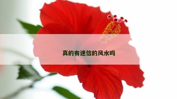 真的有迷信的风水吗