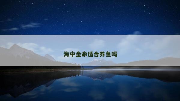 海中金命适合养鱼吗