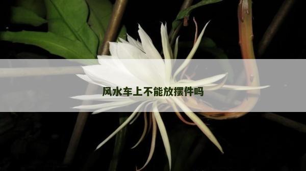 风水车上不能放摆件吗