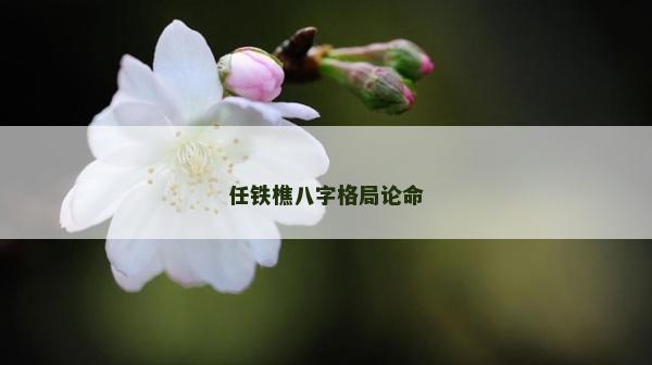 任铁樵八字格局论命