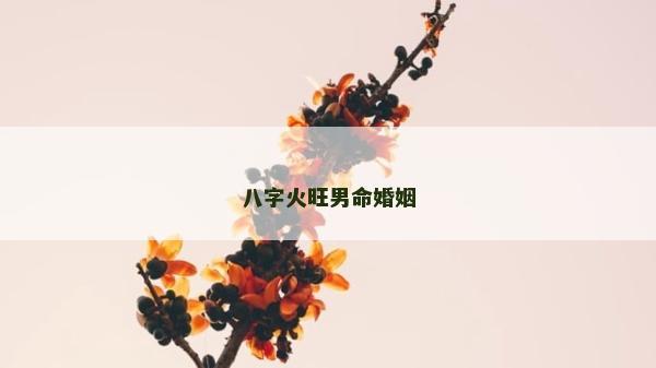 八字火旺男命婚姻
