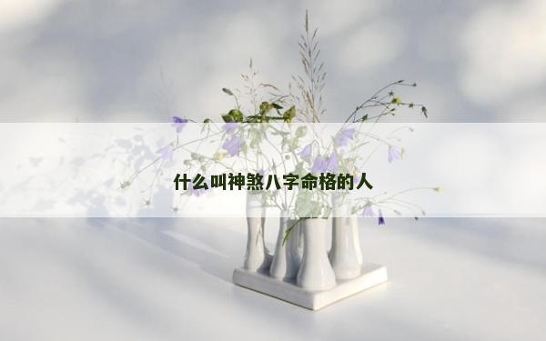 什么叫神煞八字命格的人