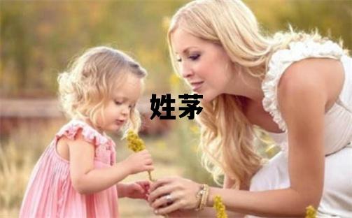姓茅叫什么名字好 姓茅的男孩有创意的名字