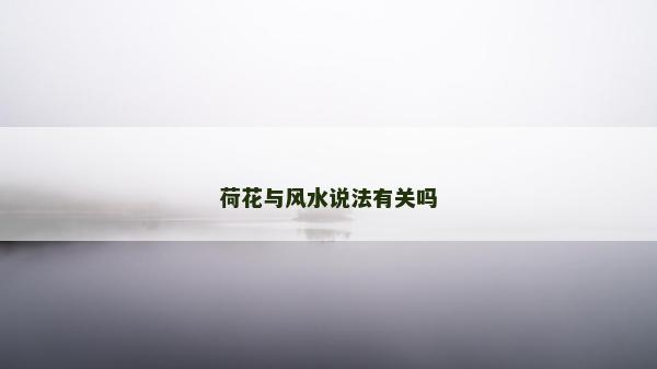 荷花与风水说法有关吗