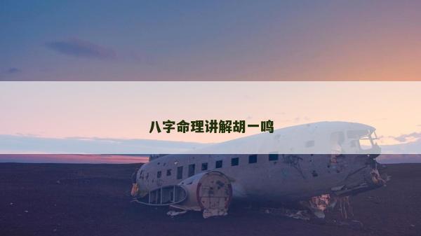 八字命理讲解胡一鸣