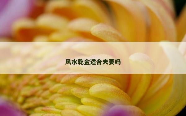 风水乾金适合夫妻吗