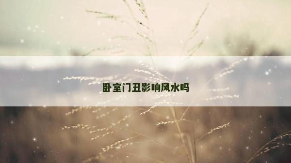卧室门丑影响风水吗