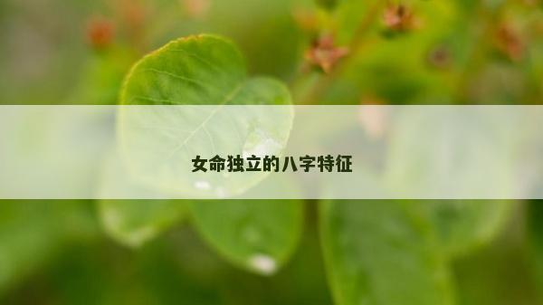 女命独立的八字特征