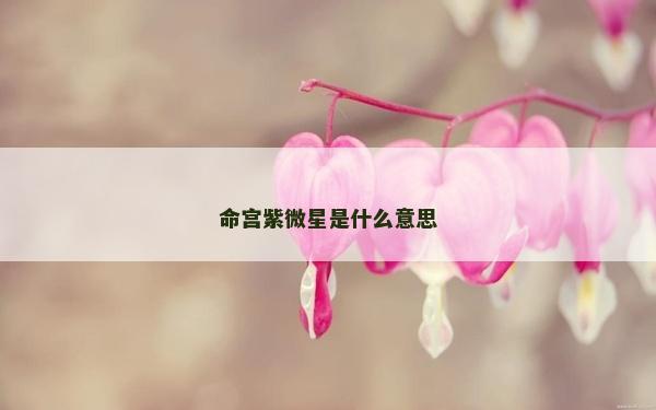 命宫紫微星是什么意思