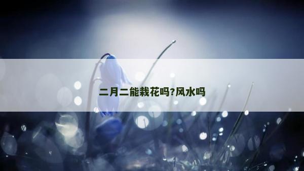 二月二能栽花吗?风水吗