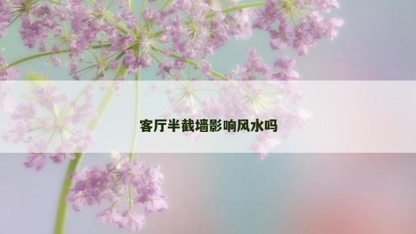 客厅半截墙影响风水吗