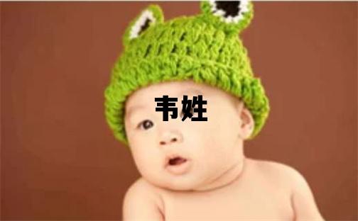 韦姓有灵气的女孩名字