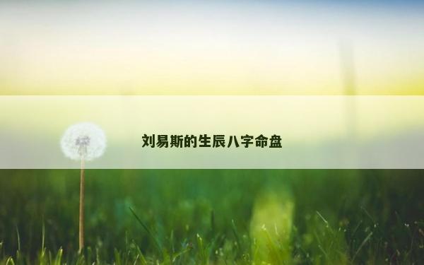 刘易斯的生辰八字命盘