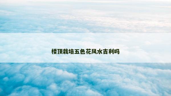楼顶栽培五色花风水吉利吗