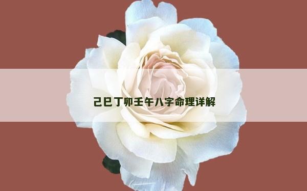 己巳丁卯壬午八字命理详解