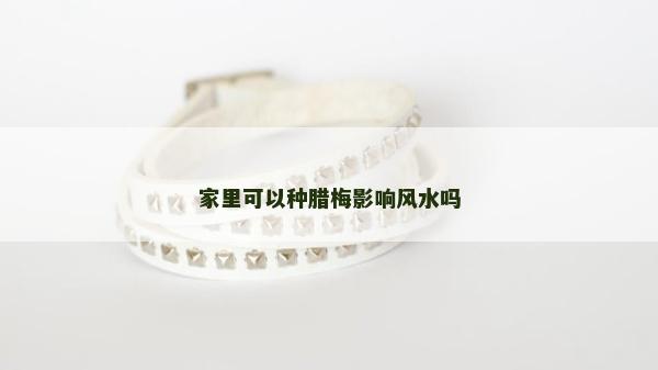 家里可以种腊梅影响风水吗