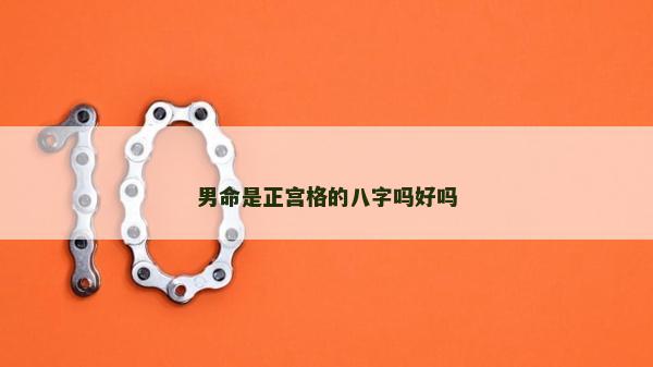 男命是正宫格的八字吗好吗