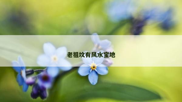 老祖坟有风水宝地