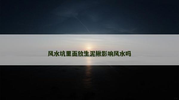 风水坑里面放生泥鳅影响风水吗