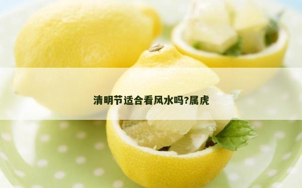 清明节适合看风水吗?属虎