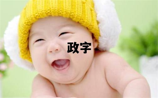 政字取名的寓意和含义 男孩用政字取名