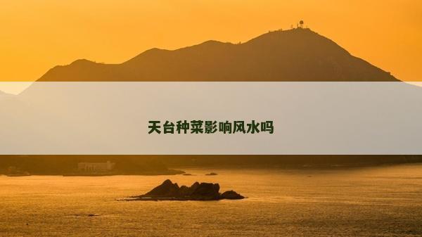 天台种菜影响风水吗