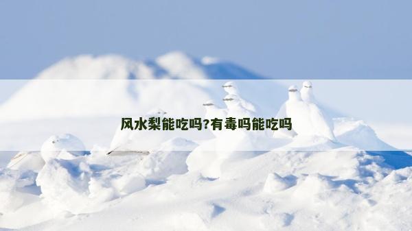风水梨能吃吗?有毒吗能吃吗