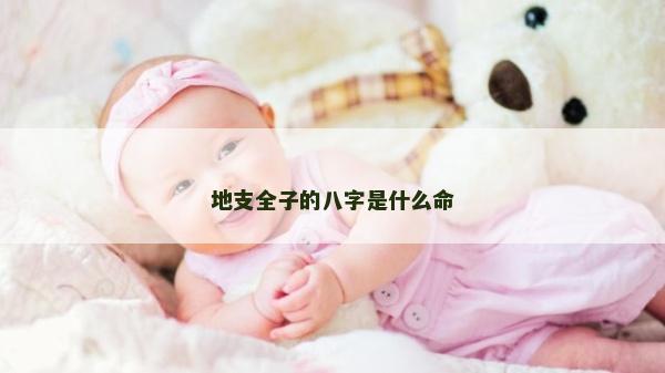 地支全子的八字是什么命