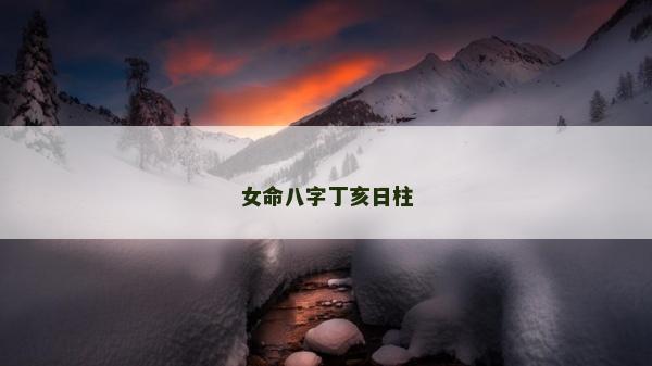 女命八字丁亥日柱