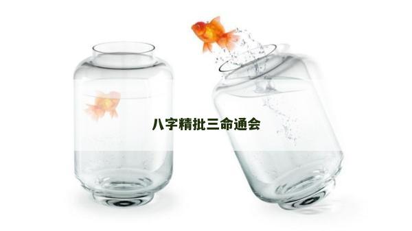 八字精批三命通会