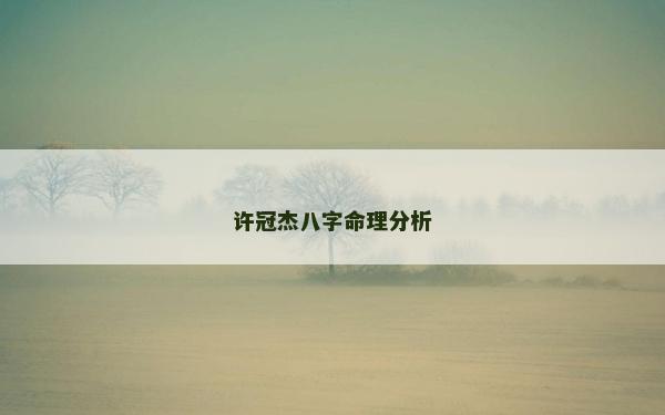 许冠杰八字命理分析
