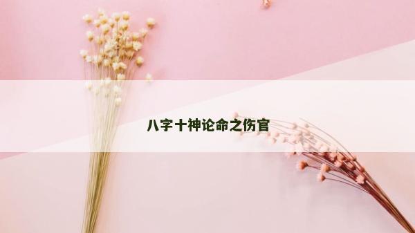八字十神论命之伤官
