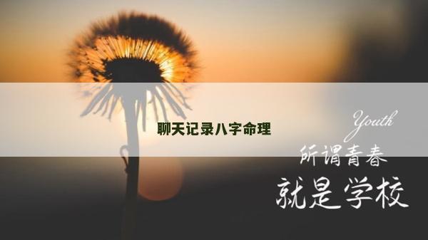 聊天记录八字命理