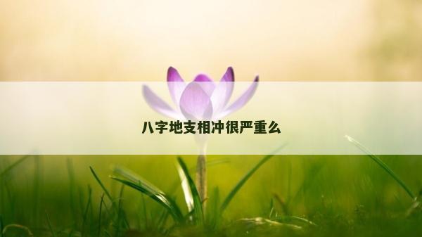 八字地支相冲很严重么