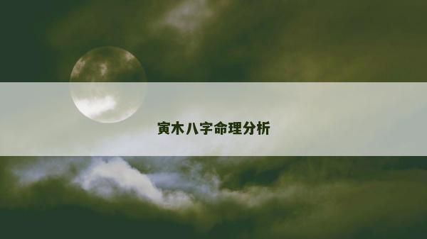 寅木八字命理分析