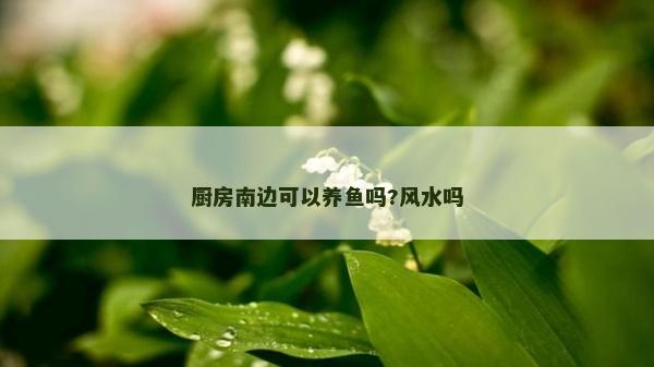 厨房南边可以养鱼吗?风水吗